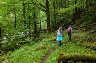 Zwei Wanderinnen auf einem Pfad durch grüne Wildnis