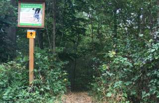 Trail-Ausschilderung im Stadtwald Heilbronn