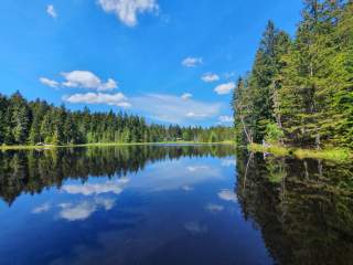 Blick auf blauen See inmitten von Wald