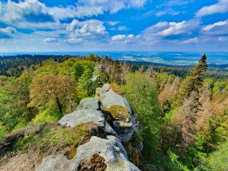 Ausblick von Felsen über Wald