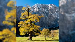 Aus der Top Ten 2022 #unserealpen