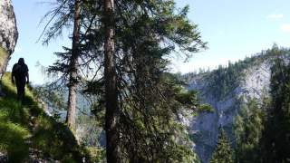 Jägersteige im Hintergebirge - „Wildniswandern“ auf einem der alten Jägersteige im Hintergebirge. Foto: Georg Hohenester