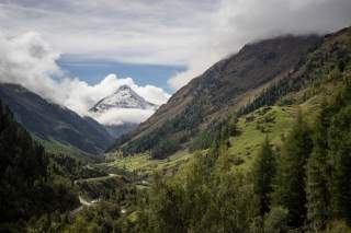Venter Tal