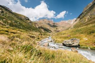 Gebirgsbach der sich durch die gelbliche Wiese schlängelt.