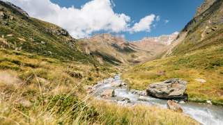 Gebirgsbach der sich durch die gelbliche Wiese schlängelt.