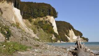 Kreidesteilküste am Ufer