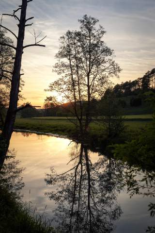 Abendstimmung im Oberpfälzer Wald