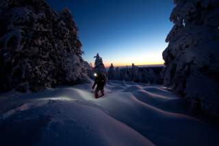 Ein Schneeschuhwanderer läuft zwischen tiefverschneiten Fichten durch den Harz. Es dämmert.