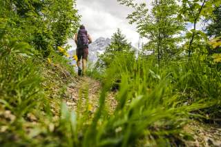 Eine Person mit Rucksack wandert auf einem schmalen Pfad durch grünes, dichtes Waldgebiet, im Hintergrund sind Berge zu sehen.
