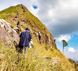 Gruppe von Wandernden am Gipfelaufstieg