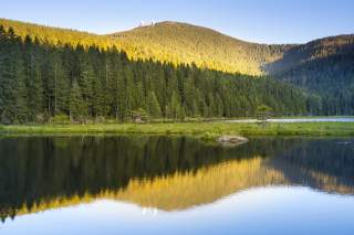 Ruhiger See mit Spiegelung eines bewaldeten Berghangs im Sonnenlicht, umgeben von dichtem Nadelwald.