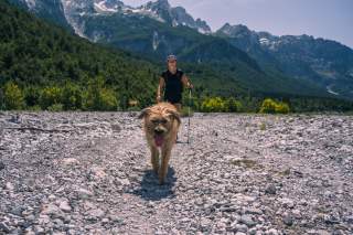 Hund läuft vor Frau durch Schotterfeld