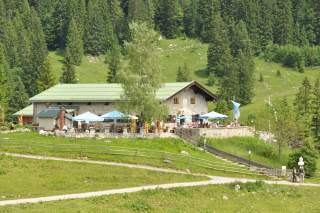 Berghütte mit Terrasse und Sonnenschirmen, umgeben von grüner Wiese und Nadelwald.