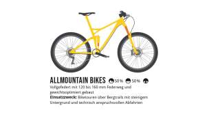 Alpenbuch