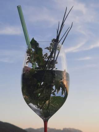 Alpenkräuterlimonade. Foto: Amelie Mayer