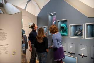 Führung durch die Dauerausstellung 