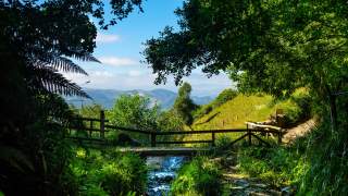 Eine kleine Holzbrücke führt über einen Bach, in der ferne grüne Hügel.