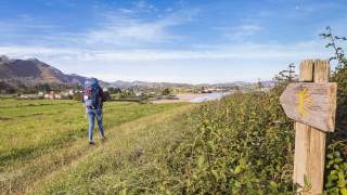 Wanderin mit großem Rucksack folgt einem Wegweiser mit einer Jakobsmuschel Richtung Meer.