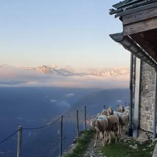 Die Augsburger Hütte: Ein Arbeitsplatz mit Weitblick, Foto: DAV/Christine Denk