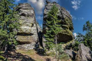 bayerischer-wald-rauchroehren-adobestock-1702029058.jpg