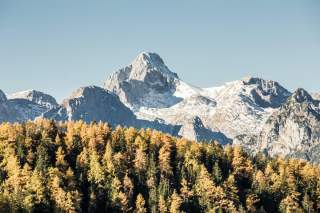 Weiße Gipfel und bunte Wälder – der Herbst im Nationalpark Berchtesgaden