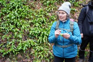 Mit einem Bärlauchblatt in der Hand erzählt Manuela Goerlich anschaulich von der heimischen Pflanzenwelt