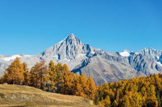 Bietschhorn in Herbststimmung