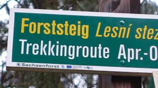 Ein grünes Schild mit gelber und weißer Schrift in Nahaufnahme.