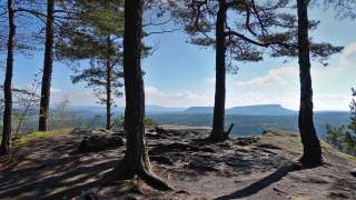 Im Vordergrund sieht man Kiefernstämme auf eine Hochplateau, das endet. Im Hintergrund viel Wald und einen kleinen Berg, den Hohen Schneeberg.