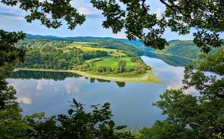 Blick auf Edersee durch Eichen