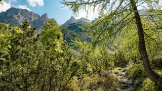 Wildromantischer Pfad beim Aufstieg zur Sarotlahütte