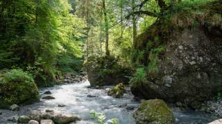 Sprudelnder Bach fließt durch die Bürser Schlucht