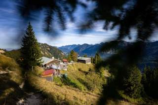 Berghütte stehen auf einer sonnigen Almwiese, umgeben von Nadelbäumen und mit Blick auf eine Bergkette im Hintergrund.