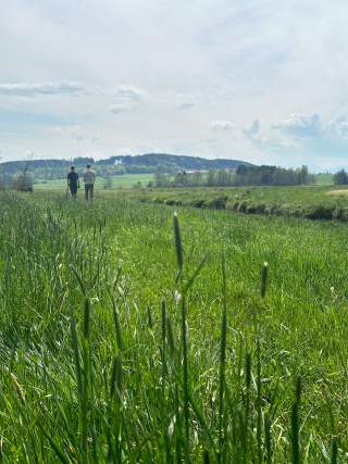 Zwei Personen gehen auf einem grünen Feldweg durch hohes Gras, im Hintergrund sanfte Hügel und ein leicht bewölkter Himmel.