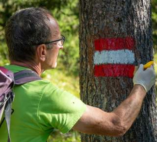 Ein Mann mit grünem T-Shirt und Rucksack markiert mit roter und weißer Farbe einen Baumstamm als Wanderwegzeichen. Er trägt dabei weiße Handschuhe und hält einen Pinsel in der rechten Hand.