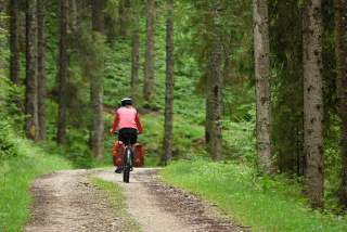 Frau fährt auf Fahrrad auf Forststraße durch Wald