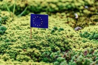 Eine Mini-EU-Flagge steckt in einem frisch-grünen Moospolster