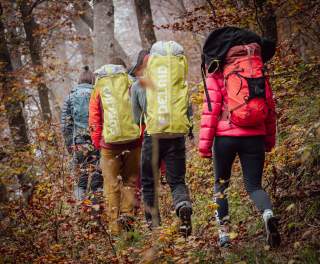 Eine Gruppe wandert mit großen Rucksäcken durch den Wald.