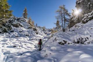 Wanderer im Frühwinter