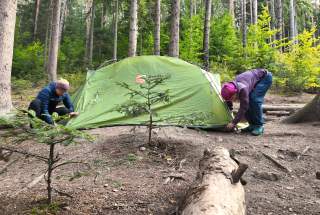 Zwei Personen bauen im Wald ein grünes Zelt auf, umgeben von Bäumen und Waldboden.