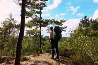 Eine Person mit großem Rucksack steht auf einem Felsen im Wald und blickt in die Ferne unter blauem Himmel.