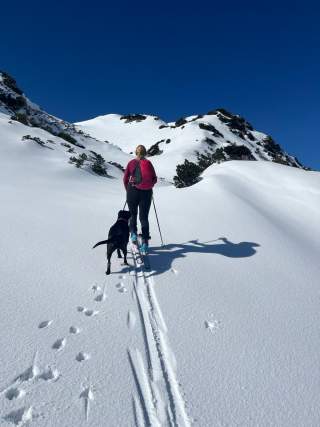 Person mit rotem Rucksack beim Skitourengehen auf schneebedecktem Berg, begleitet von schwarzem Hund, unter blauem Himmel.