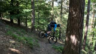 Mountainbiker nimmt enge Kurve im Wald bergab durch gekonnte Entlastung des Hinterrads