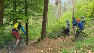 Eine Person auf dem Mountainbike fährt im Wald bergab auf Stufen zu, 5 weitere Personen mit Mountainbikes stehen rechts davon im Wald und sehen zu