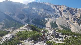 Mountainbiker fährt auf Bergpfad zwischen Latschen und Felsen bergauf, Felsgipfel im Hintergrund