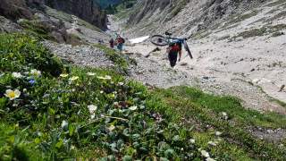 4 Personen gehen mit Mountainbikes auf den Schultern durch ein Schuttkar bergauf, Bergblumen im Vordergrund
