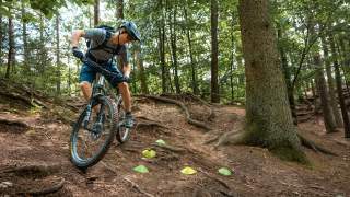 Mountainbiker mit Helm und Sonnenbrille fährt durch den Wald über Wurzeln durch einen Parkour bergab