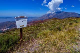 Briefkasten in Bergwiese mit Bergen und See im Hintergrund