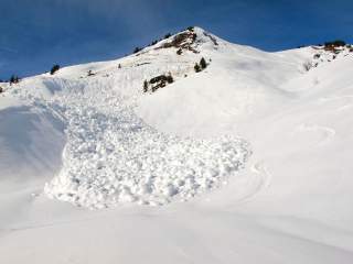 Eine Schneelawine ist einen Hang hinabgerutscht, umgeben von unberührtem Schnee und einigen kleinen Bäumen.