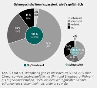 Grafik Sicherheitsforschung Lawinenrisiko Schneeschuhtouren